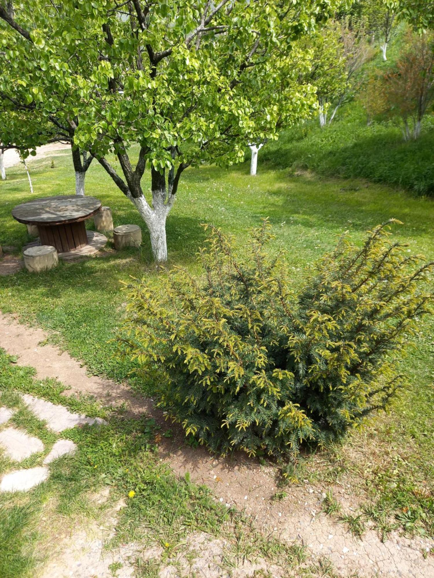 Guest House Ijevan'S Garden Bagian luar foto