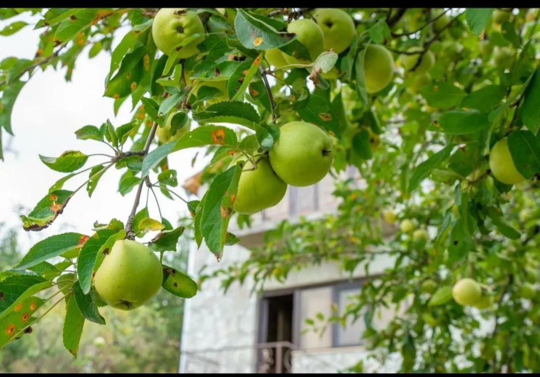 Guest House Ijevan'S Garden Bagian luar foto