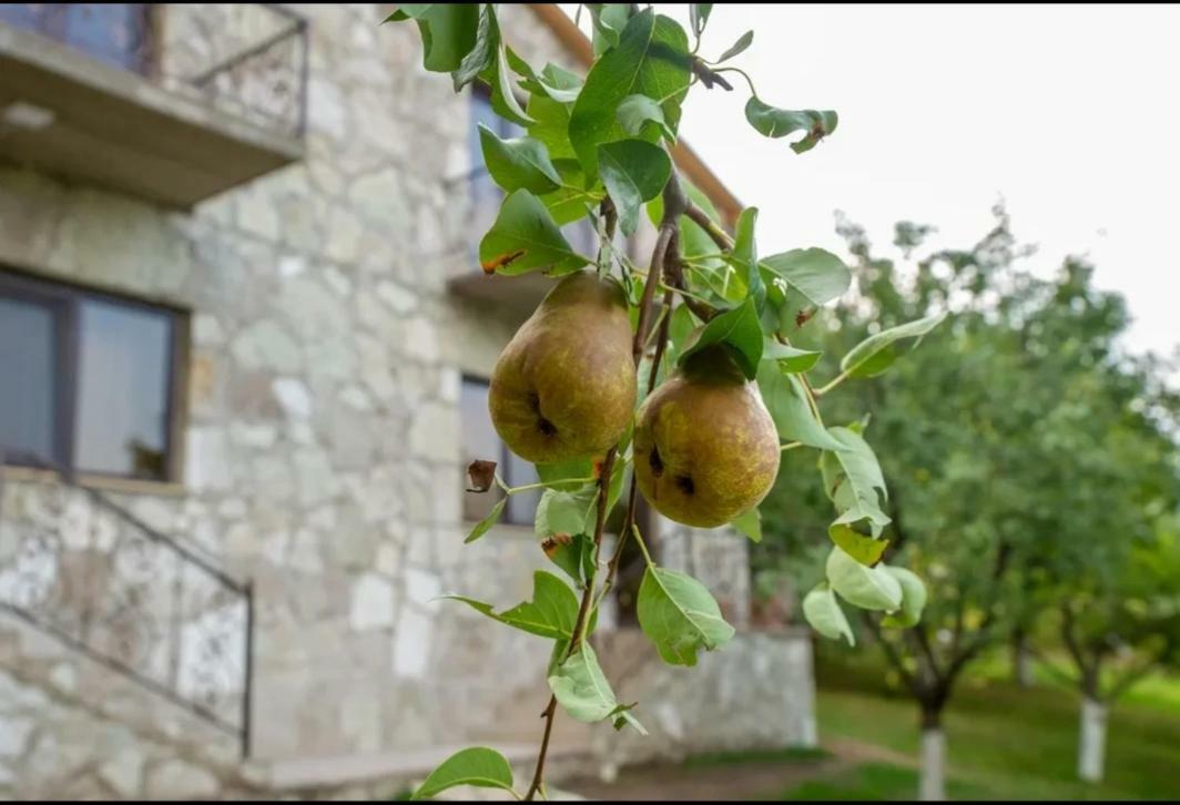 Guest House Ijevan'S Garden Bagian luar foto